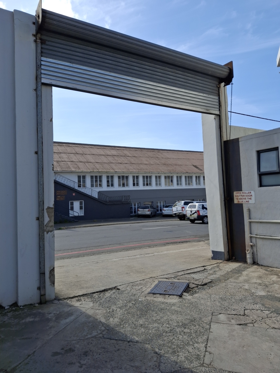 To Let Commercial Property for Rent in Arcadia Eastern Cape